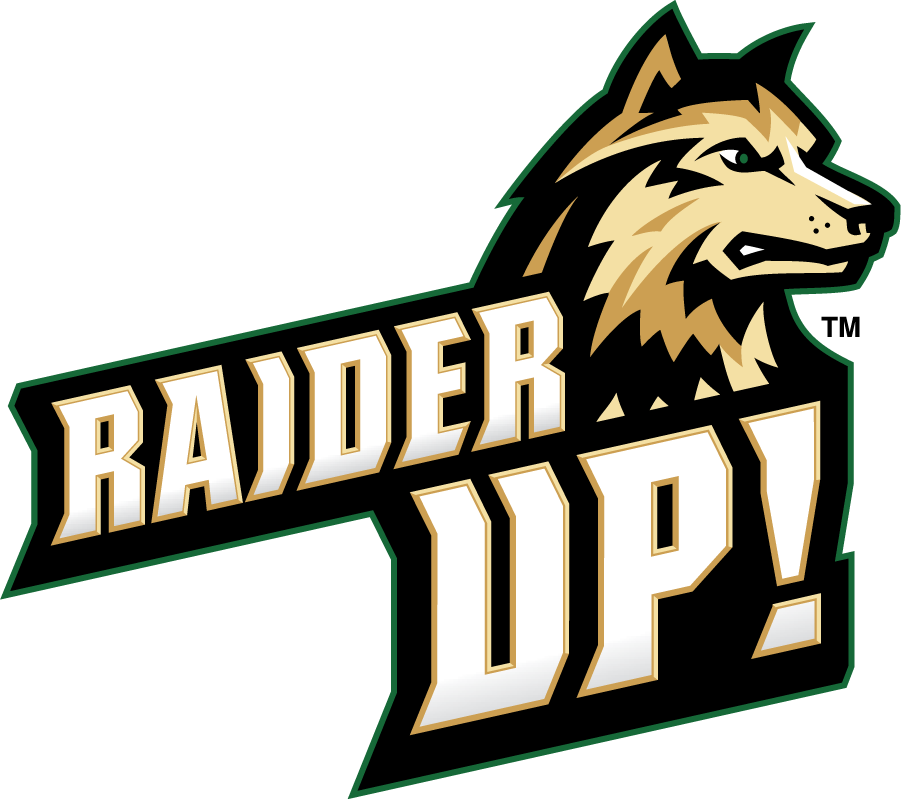 Wright State Raiders 2017-Pres Secondary Logo iron on transfers for clothing